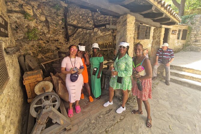 Private Krka Waterfalls with Wine and Prosciutto Shore Excursion - Who should book this Krka + wine private tour