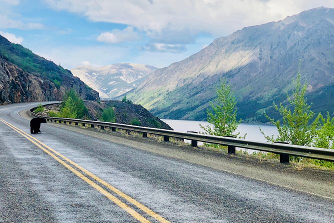 Private luxury shore excursion Skagway, AK to Emerald Lake, Yukon. - Price and value: $1,200 per group (up to 6) makes sense when you split it