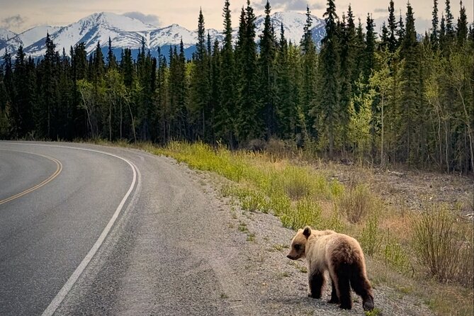Private luxury shore excursion Skagway, AK to Emerald Lake, Yukon. - Emerald Lake, Yukon: why the long drive is the point of the day