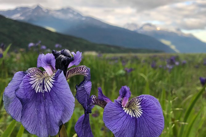 Private luxury shore excursion Skagway, AK to Emerald Lake, Yukon. - Carcross: a First Nations village with time to shop, snack, and learn