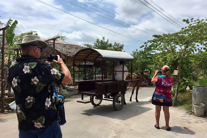 Private Mekong Delta Tour - My Tho - Ben Tre from Cruise Port - Rice Wine Distillery Stop: What You’ll Actually Be Doing There