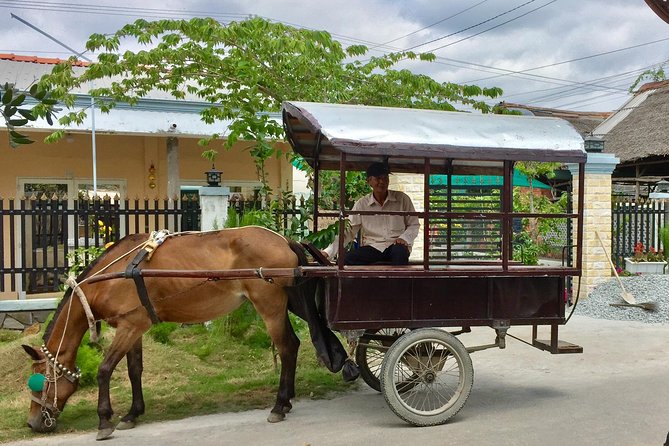 Private Mekong Delta Tour - My Tho - Ben Tre from Cruise Port - Vietnamese Lunch in a Local Restaurant: The Fuel Part
