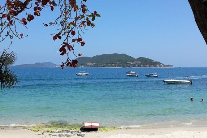 Private Nha Trang City Tour from Cruise Port - Cruise-Port Ready: Pickup, Timing, and What Private Really Means