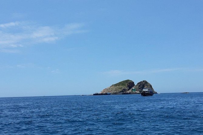 Private Nha Trang City Tour from Cruise Port - The Ocean Museum Stop: A Cruise-Day Reset