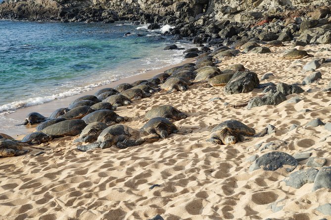 Private Shore Excursion: Best Highlights of Maui - Private pacing for a short Maui day