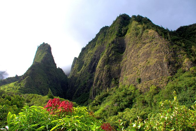 Private Shore Excursion: Best Highlights of Maui - Getting to the van: port pickup and meeting point flow