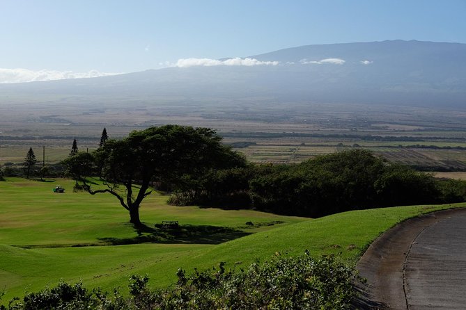 Private Shore Excursion: Best Highlights of Maui - Stop 1: Iao Valley rainforest scenery and the Iao Needle