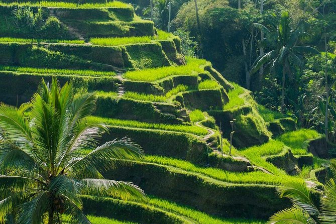 Private Shore Excursion: Customized Best of Bali Tour - A custom Bali day that respects cruise time