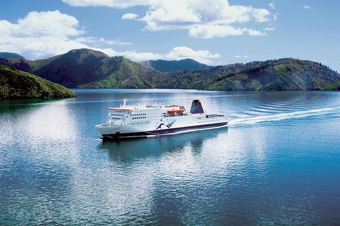 Private Shore Excursion: Explore Marlborough from Picton - The Vines Village: A One-Stop Mix of Wine, Gin, Beer, and a Lake View