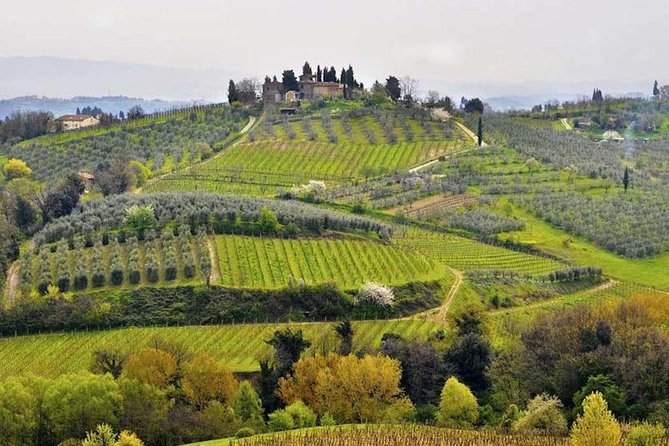 Private Shore Excursion from Livorno Port: Tuscany Highlights - Getting Rolling: The 8:00 am Port Start and How to Plan for a Full 9 Hours