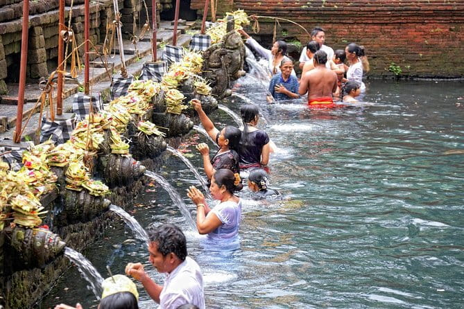 Private Shore Excursion: Highlights of Bali - Tegalalang Rice Terrace: quick time, big reward
