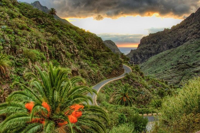 Private Shore Excursion in Tenerife from your Cruise Ship - Tenerife cruise-day route: Teide first, then villages and old-world stops