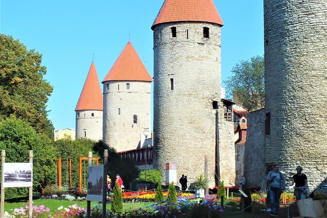 Private Shore Excursion: Tallinn Old Town Walking Tour with Round-Trip Transfer - Cruise-port friendly logistics: meeting the guide at Tallinn’s exit gate