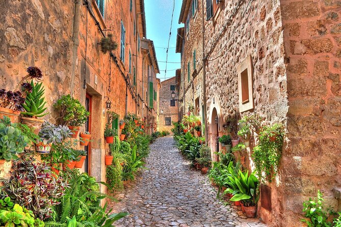 Private Shore Excursion to Valldemossa and Palma de Mallorca - Old-town stops that make Palma feel real: Ayuntamiento, olive tree, and market energy