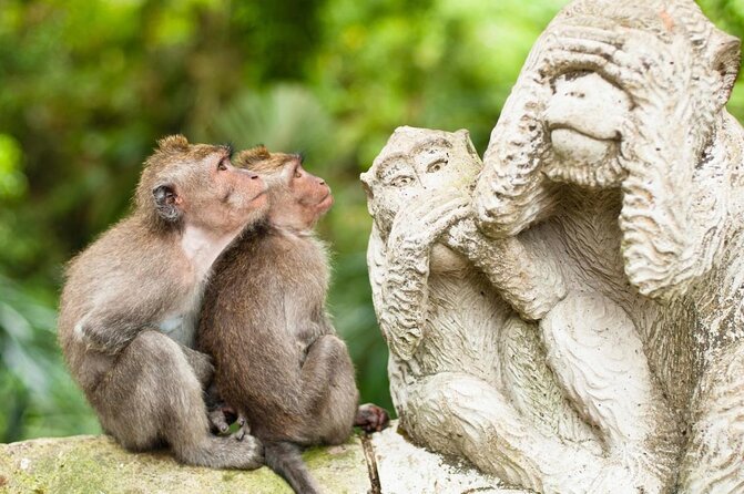 Private Shore Excursion: Ubud Art Villages and Sacred Monkey Forest - Key Points to Know Before You Go