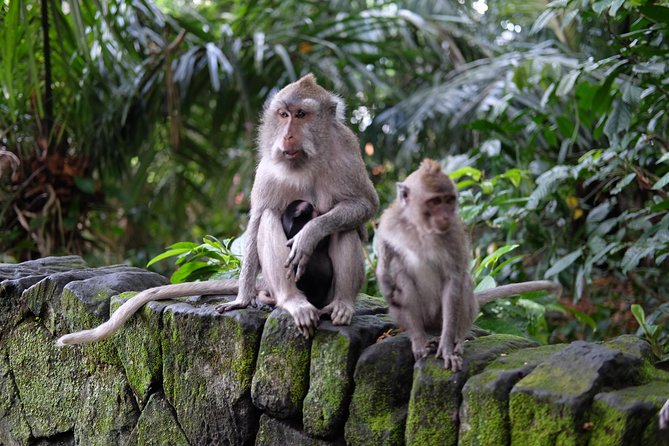 Private Shore Excursion: Ubud Art Villages and Sacred Monkey Forest - Celuk Village: Jewelry Workshops Where You See the Making