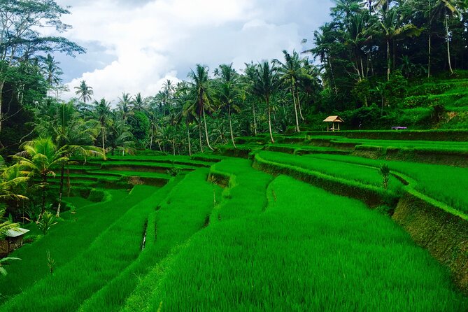 Private Shore Excursion: Ubud Art Villages and Sacred Monkey Forest - Ubud Art Market: Souvenirs, Sarongs, and How to Shop Smart