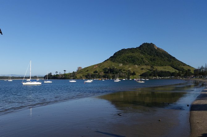 Private Tour Rotorua Shore Excursion up to 8 Passengers - Mt Maunganui Main Beach and Pilot Bay: the photo stop that starts the day right