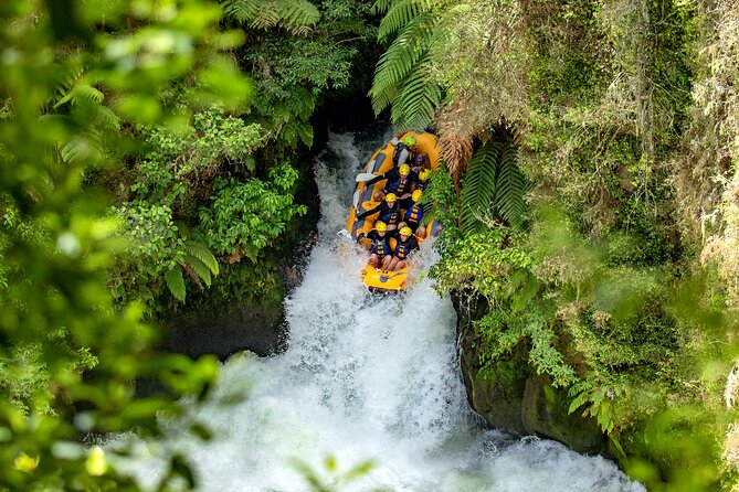 Private Tour Waiotapu Geothermal Shore Excursion up to 8 passengers - Timing, comfort, and the lunch reality