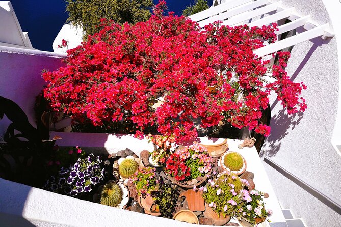 Private Unseen Authentic Santorini Half Day Island Tour - Megalochori and its vineyard backdrop