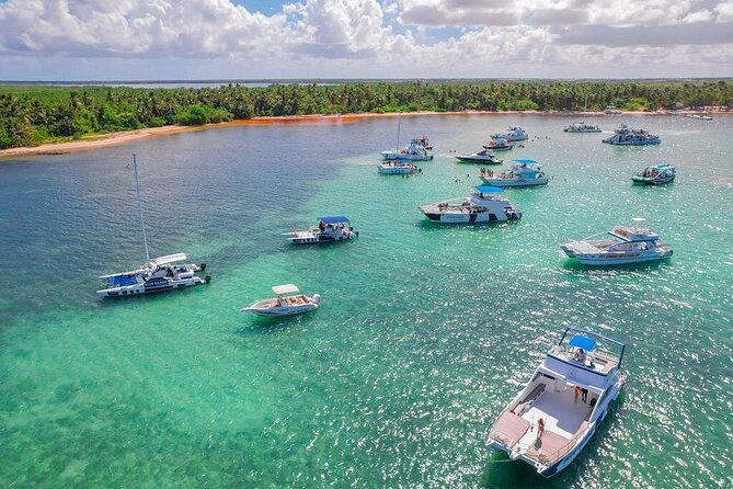 Puerto Plata Party Boat and Snorkeling Adventure from Cruise Port - The open bar and snacks: good enough to matter