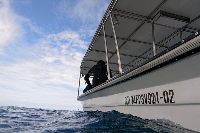 Puerto Plata Shore Excursion, Snorkeling tour & Sosua Beach Day - Why Sosua Bay is the right half-day snorkeling setup