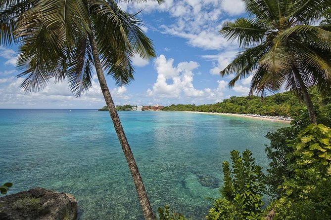 Puerto Plata Shore Excursion, Snorkeling tour & Sosua Beach Day - Two Sosua Bay reef stops: what you’ll actually see