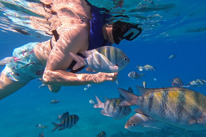 Puerto Plata Shore Excursion, Snorkeling tour & Sosua Beach Day - Sosua Beach chair time: the fun part after the snorkeling