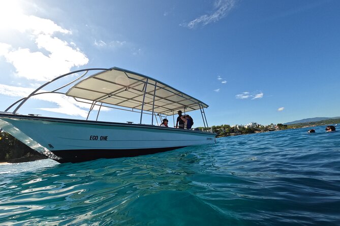 Puerto Plata Shore Excursion, Snorkeling tour & Sosua Beach Day - Staff and service details that raise the value