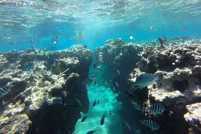 Puerto Plata Shore Excursion, Snorkeling tour & Sosua Beach Day - Price vs. what you get: is $65.55 a fair deal?