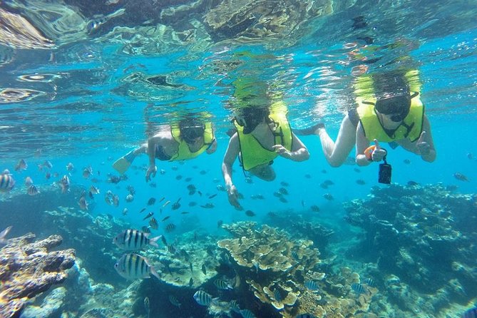 Puerto Plata Shore Excursion, Snorkeling tour & Sosua Beach Day - Who this tour fits best (and who should think twice)