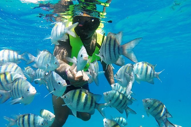 Puerto Plata Shore Excursion, Snorkeling tour & Sosua Beach Day - Meeting at Eric Tours International: where the day starts