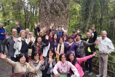 Puketi Rainforest Guided Walks .This is not a Shore Excursion product . - What You Learn on the Trail: Plants, Birds, Maori Legends, and Conservation