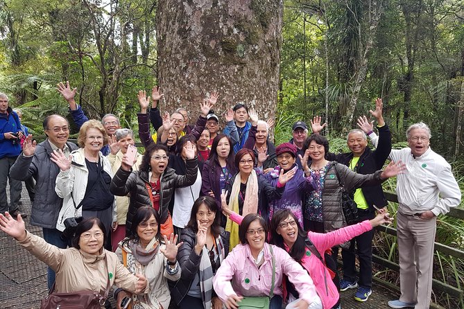 Puketi Rainforest Guided Walks .This is not a Shore Excursion product . - What You Learn on the Trail: Plants, Birds, Maori Legends, and Conservation