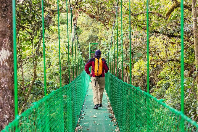 Puntarenas Shore Excursion: Rainforest Skywalk & Tarcoles River - Puntarenas-to-Carara: Why this combo makes sense on a port day