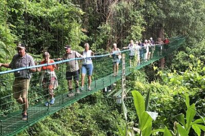 Puntarenas Shore Excursion: Rainforest Skywalk & Tarcoles River - Villa Lapas SkyWalk: the canopy trail and those three suspended bridges