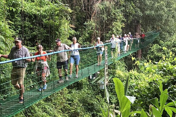 Puntarenas Shore Excursion: Rainforest Skywalk & Tarcoles River - Villa Lapas SkyWalk: the canopy trail and those three suspended bridges