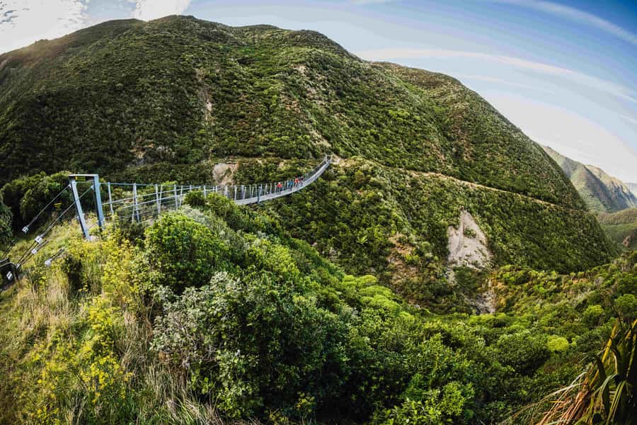 Remutaka Rail Trail eBike Shore Excursion for Cruise Ships - Why This Cruise Shore Ride Works So Well From Wellington