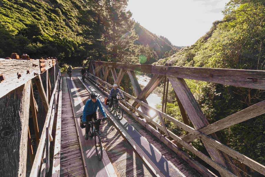 Remutaka Rail Trail eBike Shore Excursion for Cruise Ships - Summit Plateau Picnic: The Best Break in the Middle of the Day