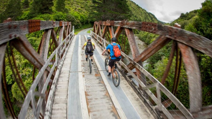 Remutaka Rail Trail eBike Shore Excursion for Cruise Ships - Price and Value: What NZ$131 Really Buys You