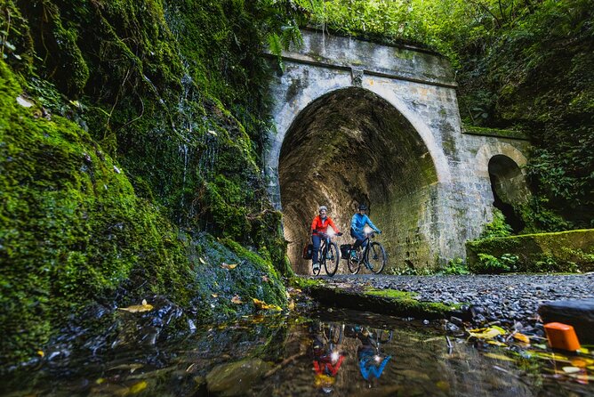 Remutaka Rail Trail Explorer - eBike Cruise Ship Shore Excursion - The Remutaka Rail Trail on e-bike: what that 28km ride is really like