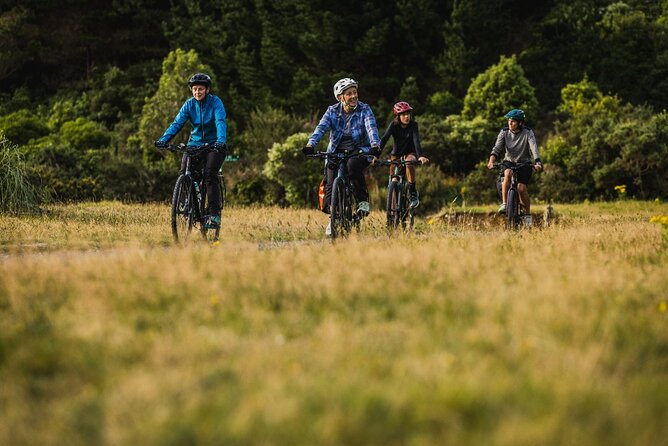 Remutaka Rail Trail Explorer - eBike Cruise Ship Shore Excursion - Getting to Kaitoke: what you’ll see in the native bush start