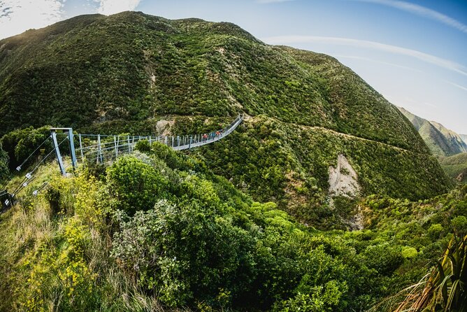 Remutaka Rail Trail Explorer - eBike Cruise Ship Shore Excursion - Lunch and the Featherston return: where your energy plan matters