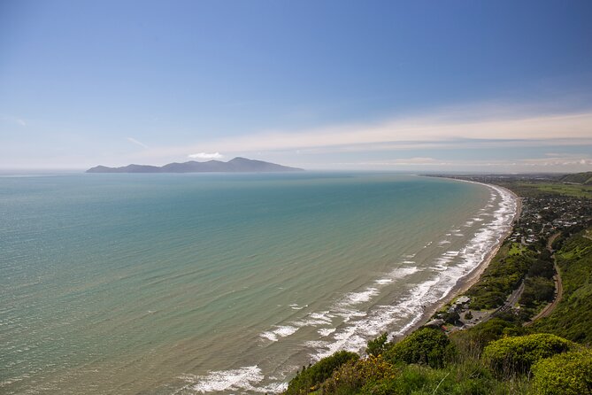 Remutaka Rail Trail Explorer - eBike Cruise Ship Shore Excursion - Price and value for a cruise shore day (what you get for $136.53)