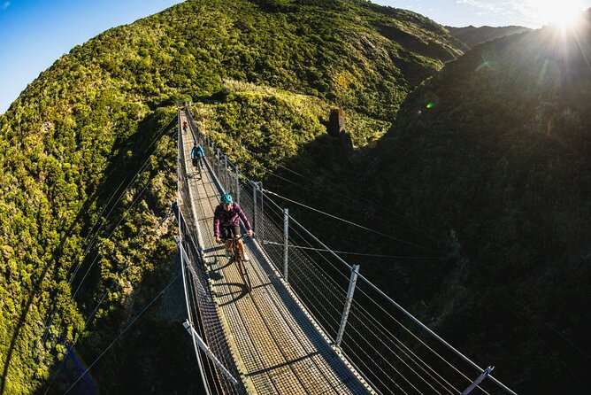 Remutaka Rail Trail Explorer - eBike Cruise Ship Shore Excursion - Tunnels, bridges, and headlight moments: practical riding tips that save your day