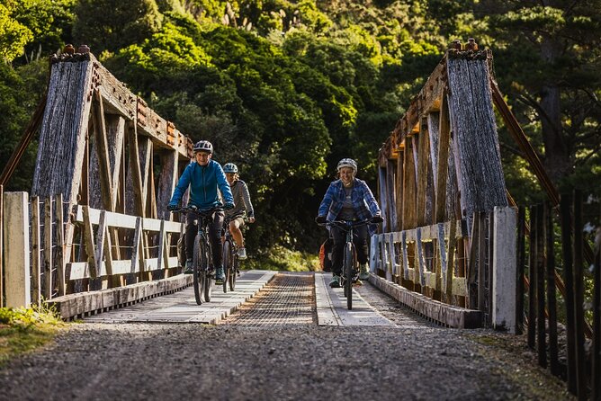Remutaka Rail Trail- Wellington eBike Cruise Ship Shore Excursion - Key things to know before you go