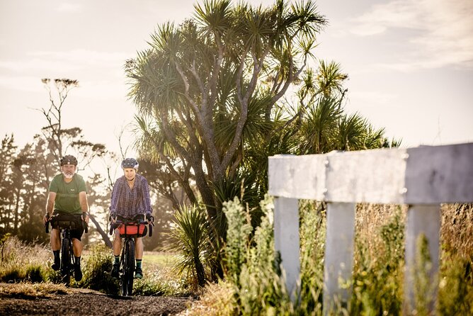 Remutaka Rail Trail- Wellington eBike Cruise Ship Shore Excursion - Effort, pacing, and the one section to respect