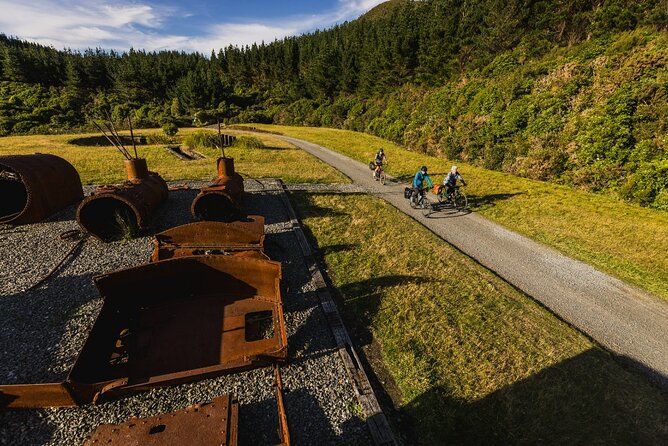 Remutaka Rail Trail- Wellington eBike Cruise Ship Shore Excursion - Who should book this Remutaka Rail Trail eBike cruise tour