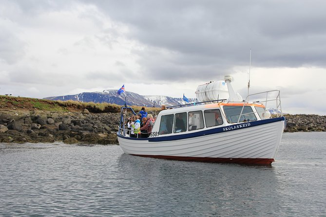 Reykjavik Shore Excursion: Puffin Sightseeing Cruise - Expert narration: turning spotting into real bird knowledge