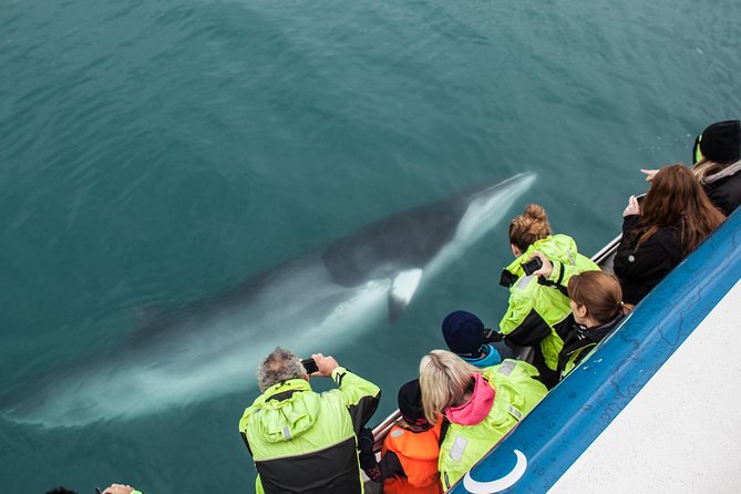 Reykjavik Shore Excursion: Whale-Watching Cruise - The Boat Setup That Helps You See More: Overalls, Speakers, and Comfort